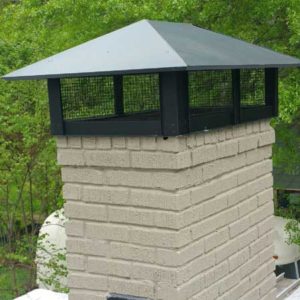 Chimney Repoint and Paint and Cap Install